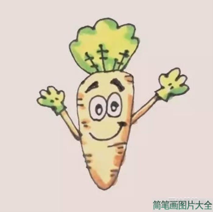 胡萝卜的画法简笔步骤  第6张