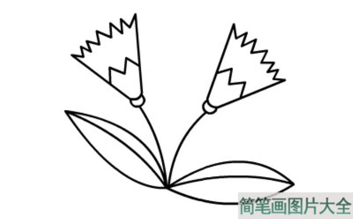 简笔画郁金香  第5张