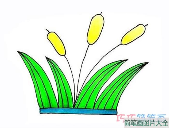 彩色芦荟怎么画