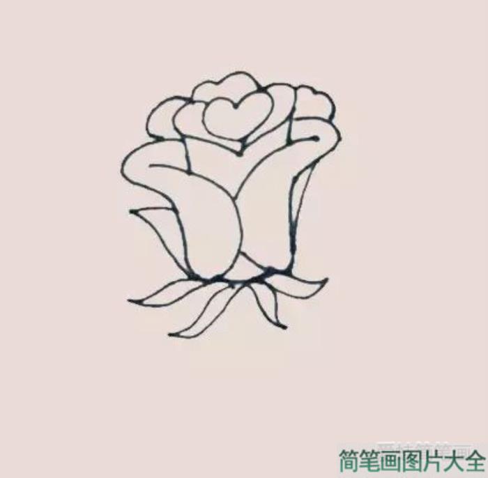 玫瑰花简笔画  第6张