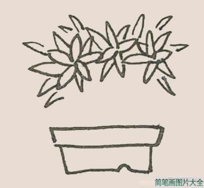 盆栽简笔画  第3张