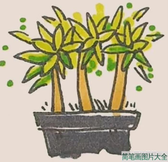 盆栽简笔画  第5张