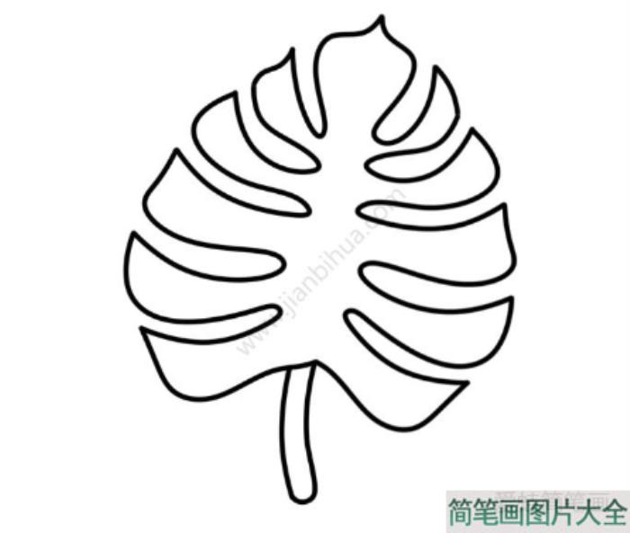 绿色椰树叶简笔画  第2张