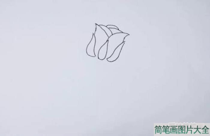 玫瑰花怎么画  第3张