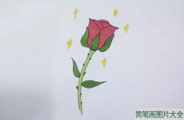 玫瑰花怎么画  第6张