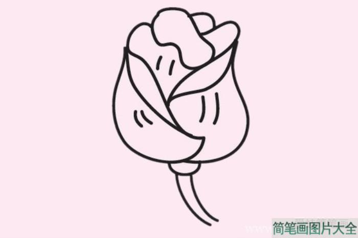 玫瑰花简笔画图片大全