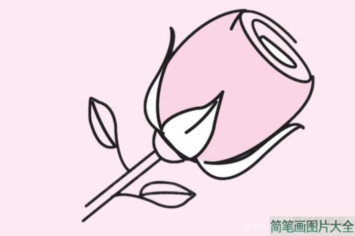 玫瑰花简笔画图片大全  第2张