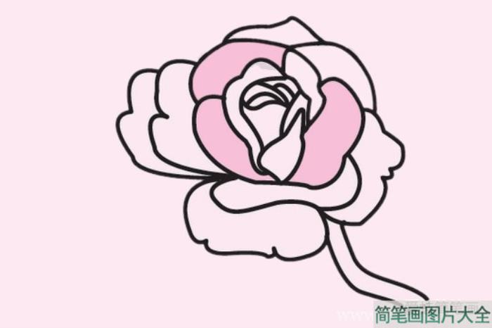 玫瑰花简笔画图片大全  第3张