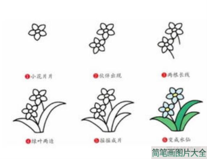 水仙花简笔画