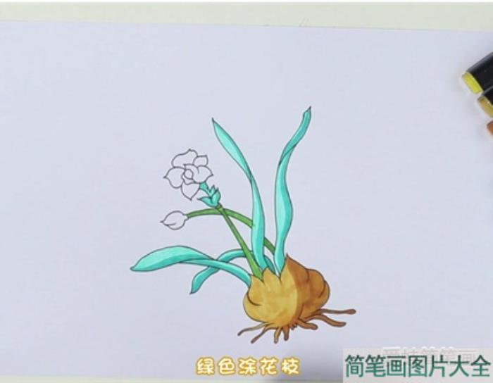 水仙花怎么画  第4张