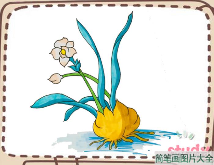 水仙花怎么画  第5张