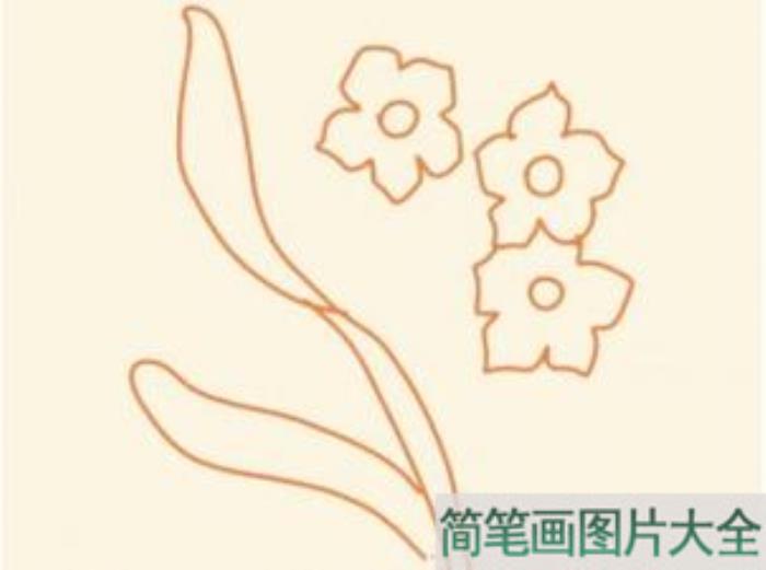 水仙花简笔画  第4张