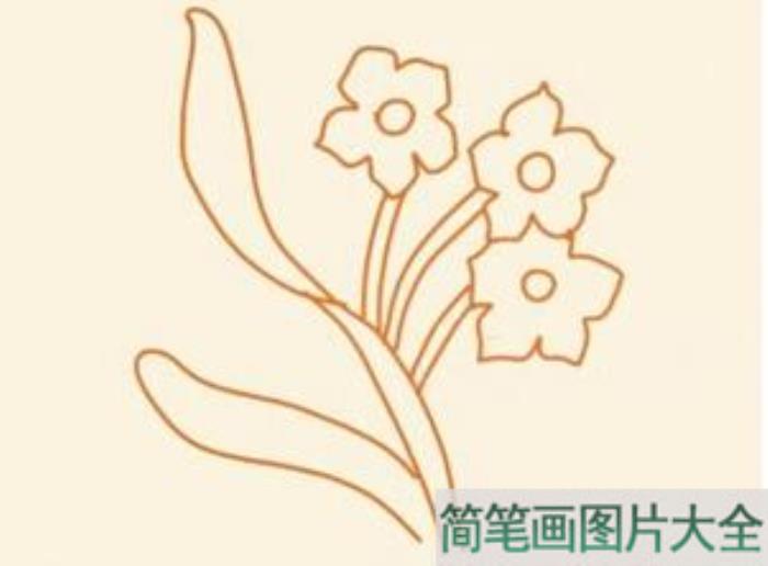 水仙花简笔画  第5张