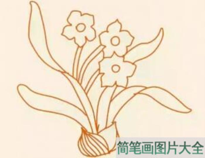 水仙花简笔画  第6张