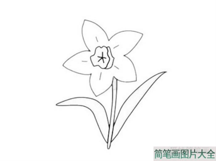 水仙花简笔画  第5张