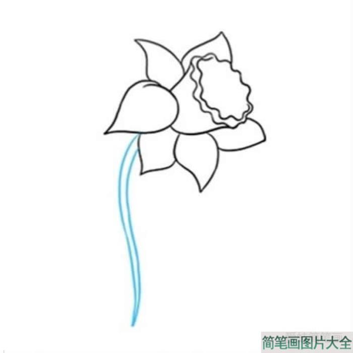 一朵黄水仙花简笔画  第5张