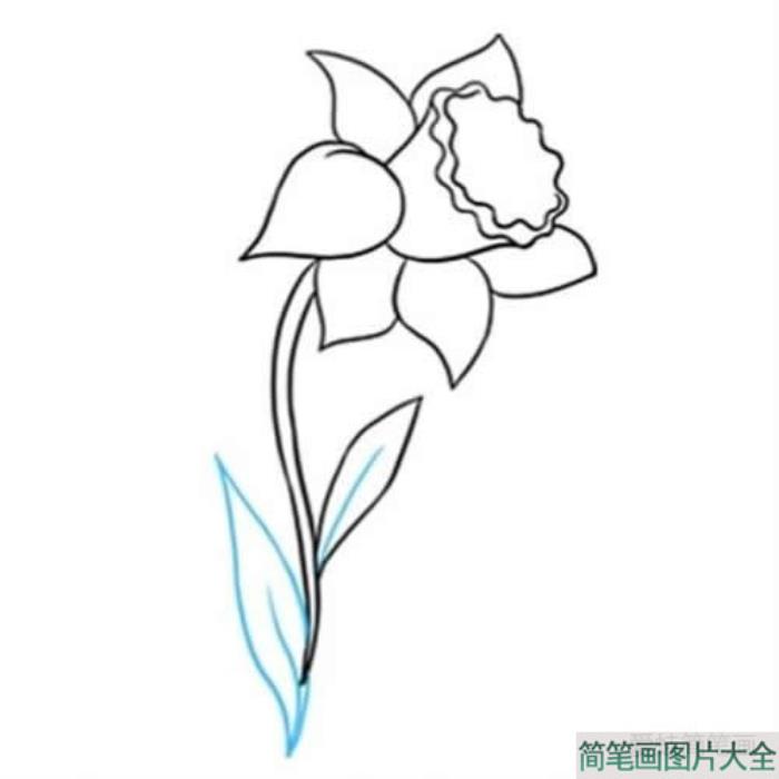 一朵黄水仙花简笔画  第7张