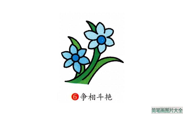 兰花简笔画  第6张