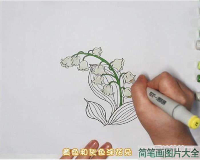 铃兰花怎么画  第3张