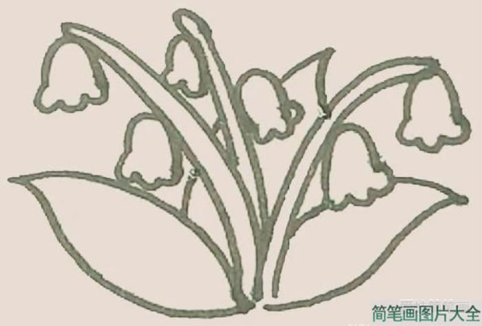 铃兰花简笔画  第3张