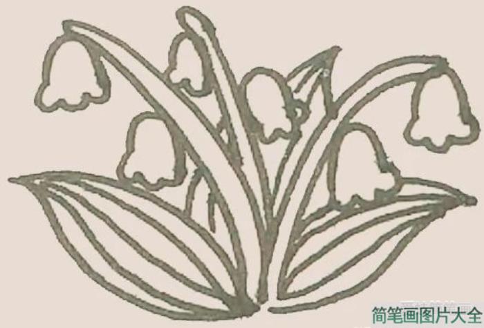 铃兰花简笔画  第4张