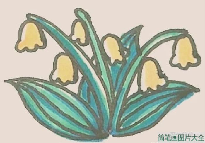 铃兰花简笔画  第5张