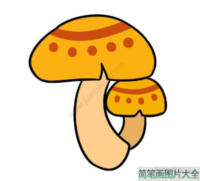 蘑菇简笔画  第2张