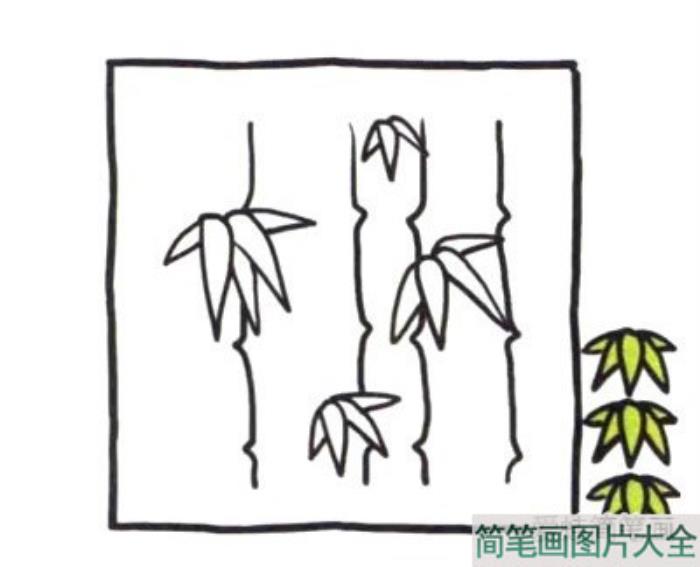 四步画出竹子简笔画  第3张