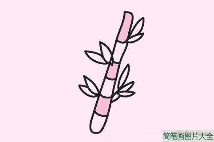 竹子简笔画图片大全  第2张