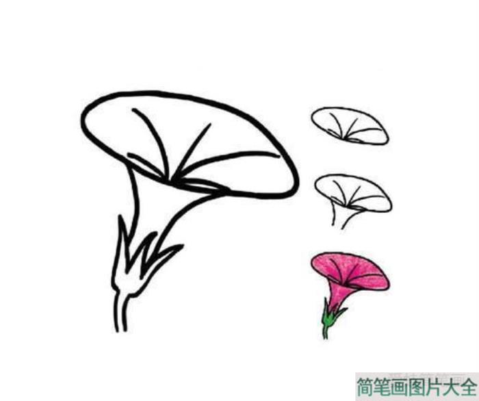 牵牛花简笔画