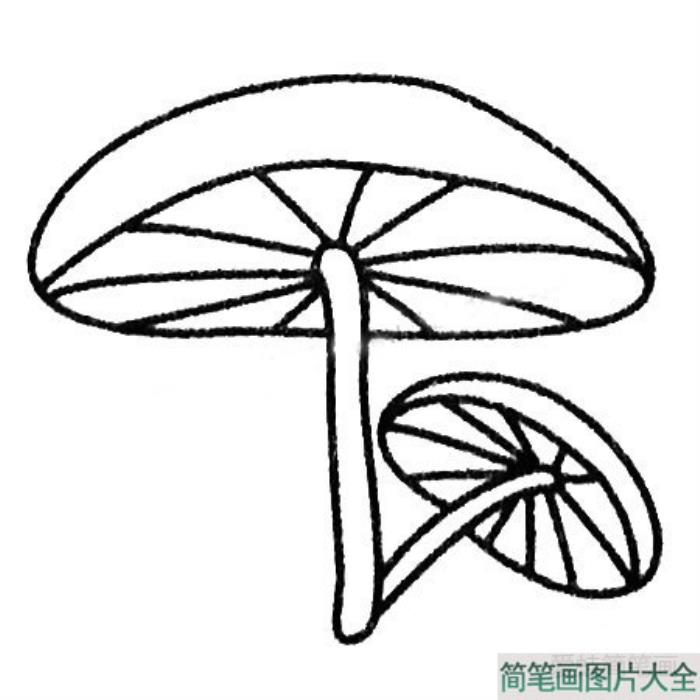 蘑菇简笔画图片大全  第4张