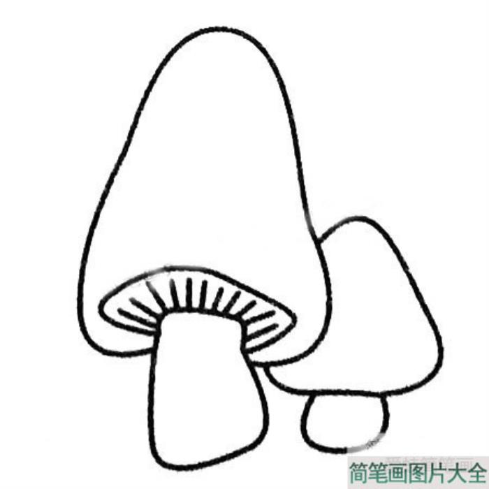 小蘑菇简笔画图片大全  第1张