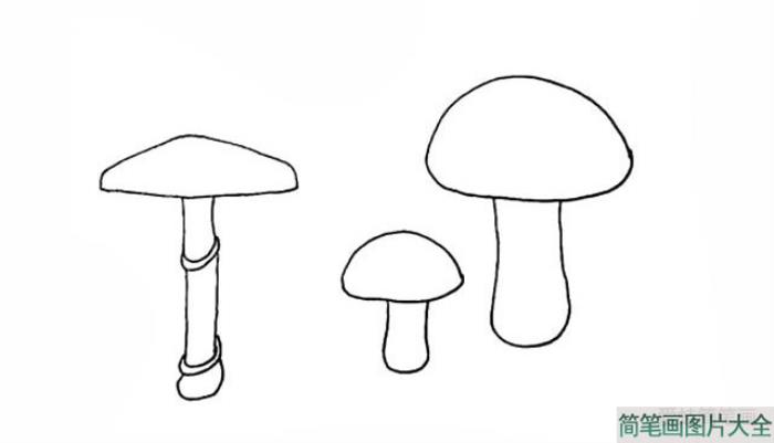 蘑菇简笔画  第4张