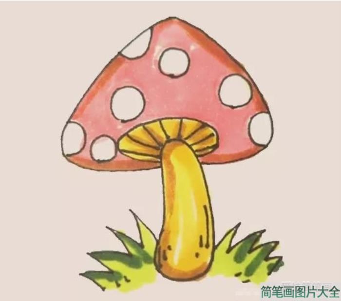 彩色蘑菇简笔画  第6张