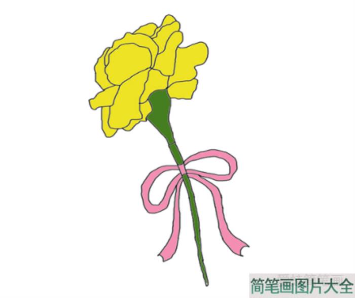 康乃馨简笔画  第4张