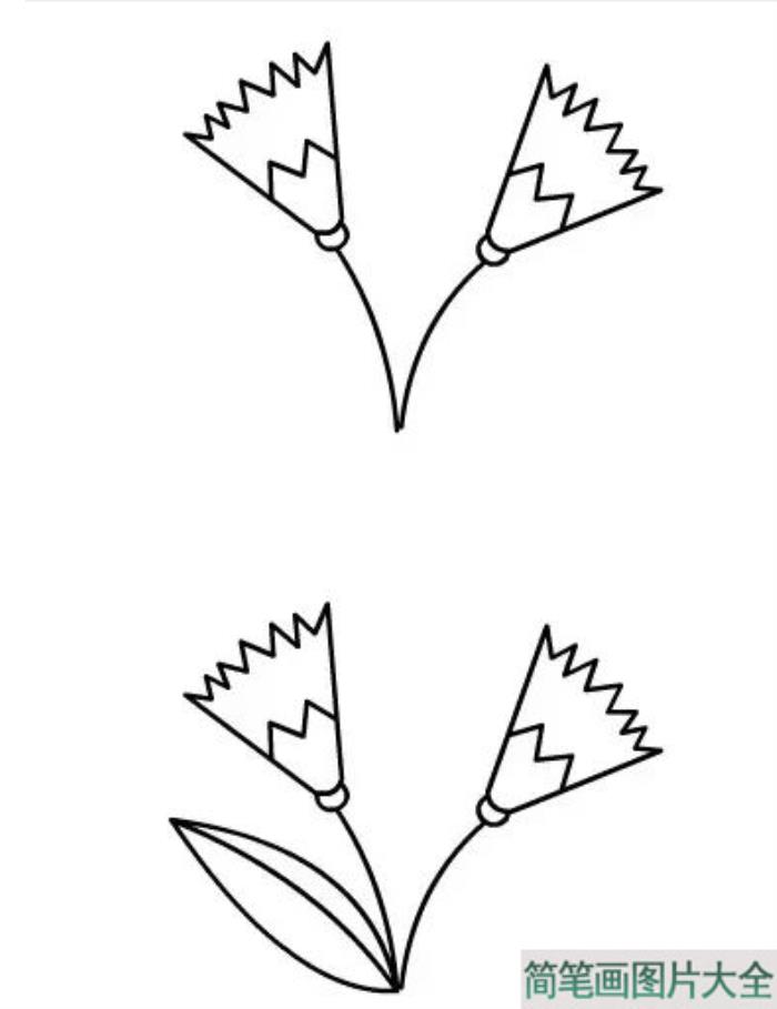 郁金香简笔画  第2张