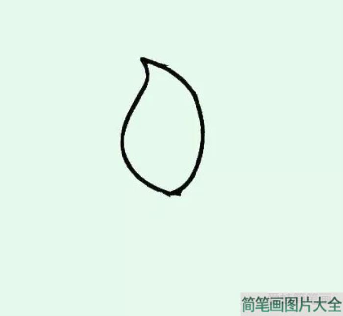 郁金香简笔画怎么画