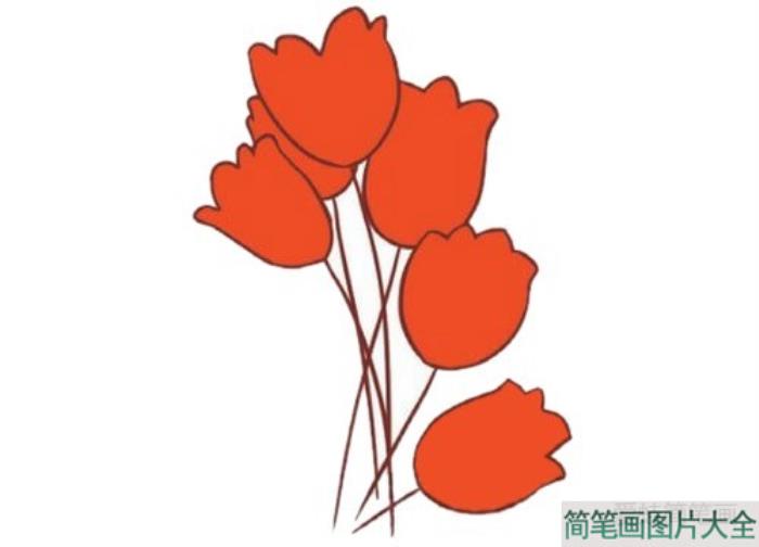 郁金香简笔画图片大全