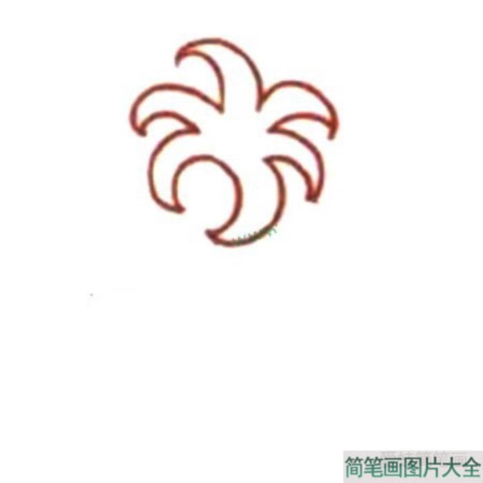 Q版波斯菊简笔画教程