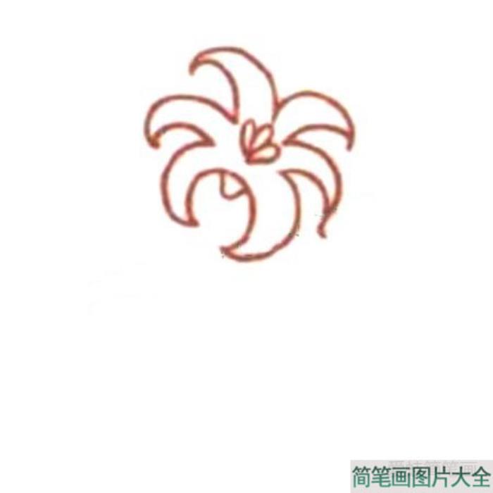 Q版波斯菊简笔画教程  第2张