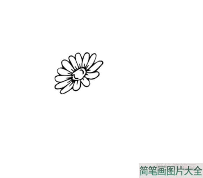 雏菊简笔画