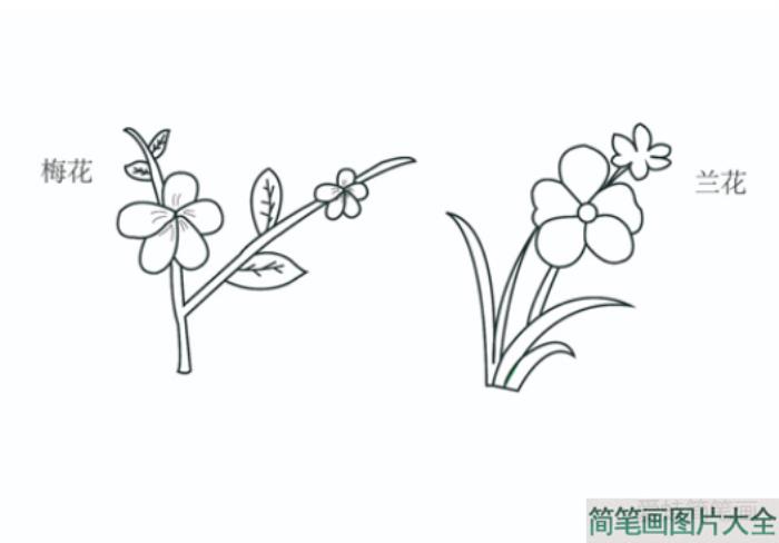 梅兰竹菊简笔画  第1张