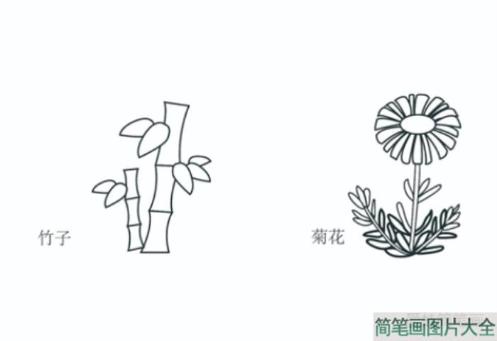 梅兰竹菊简笔画  第2张