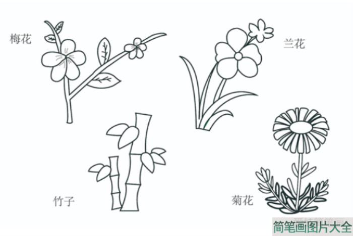 梅兰竹菊简笔画  第3张