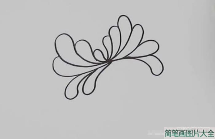 如何画黄菊花简笔画  第1张