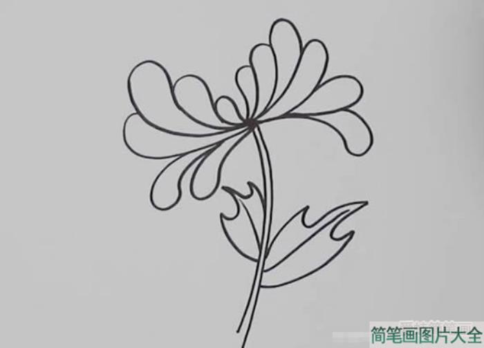 如何画黄菊花简笔画  第2张