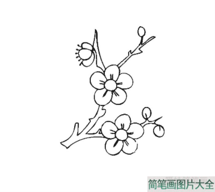 梅花怎么画  第3张