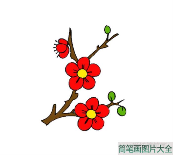 梅花怎么画  第4张