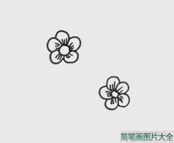 树枝上的梅花简笔画