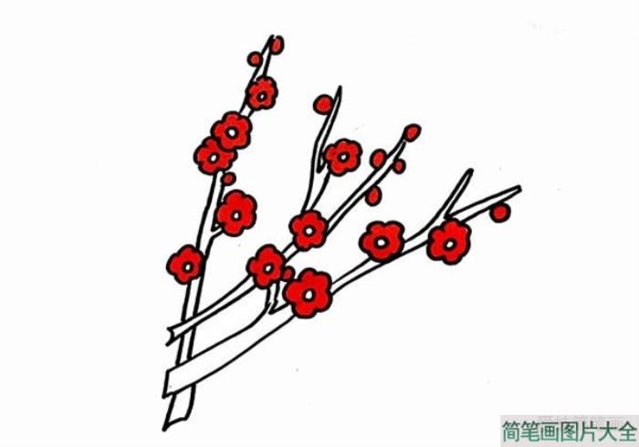 梅花简笔画彩色  第4张